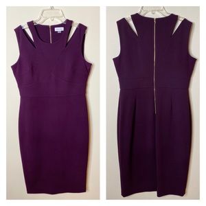 CK Plum Midi Dress